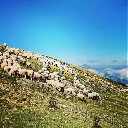 Apartman Bèth Cèu - 4 Pers - Vacances- *