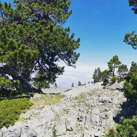 Bèth Cèu - 4 Pers - Vacances- *