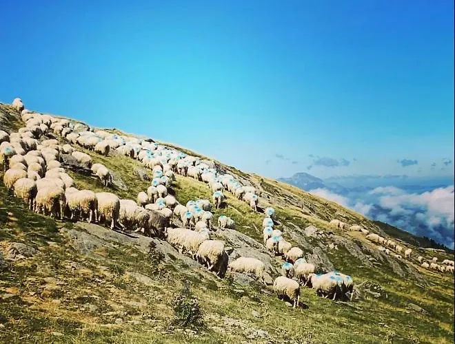 شقة Beth Ceu - 4 Pers - Vacances- *